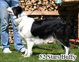 52 Stars Buffy
