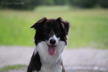 Bonnie_kopf