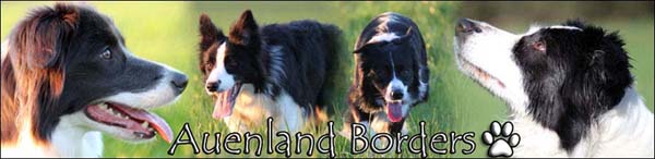 Auenland Borders_banner